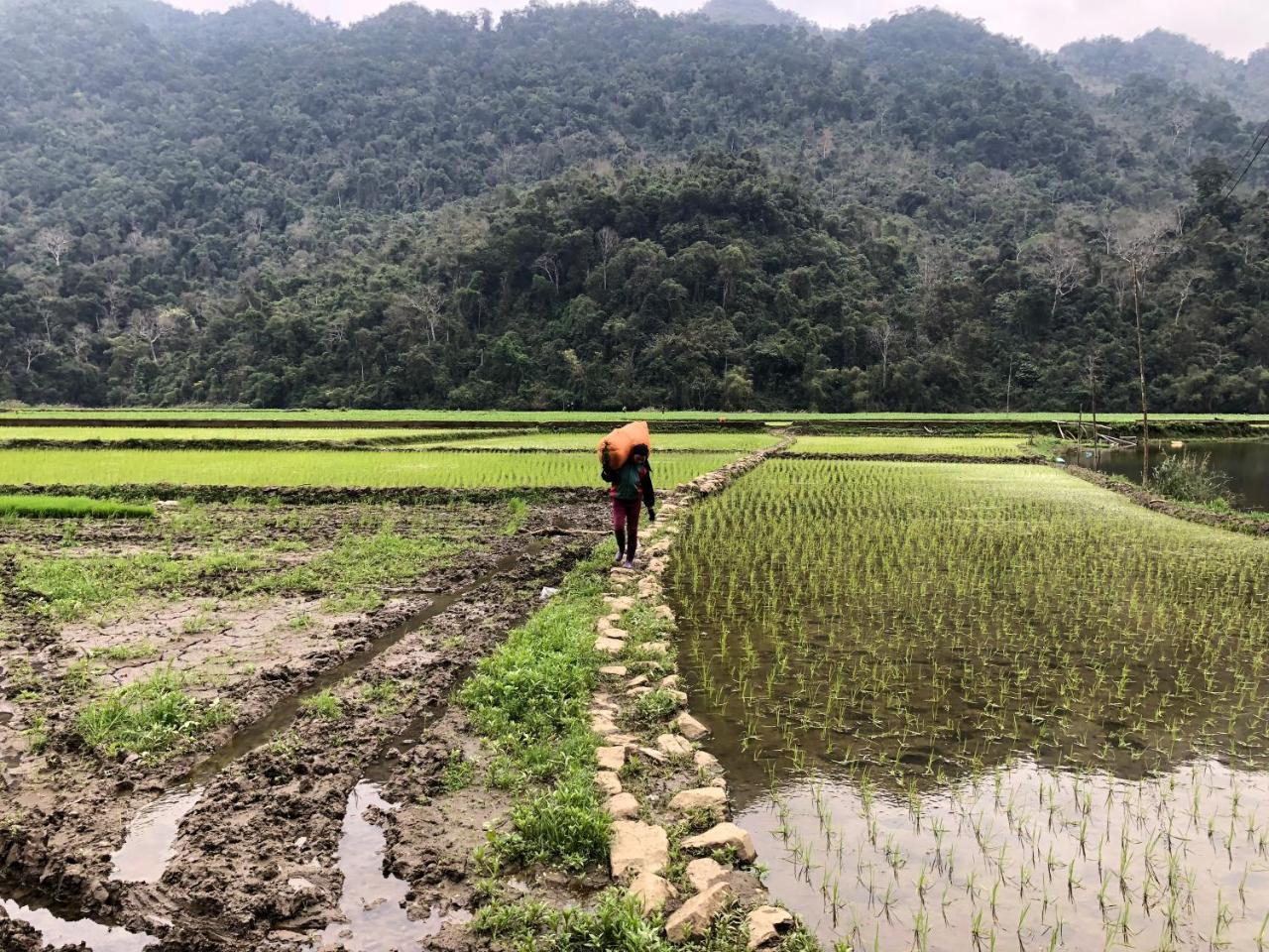 Ba Be Lake View Homestay An Ma Luaran gambar